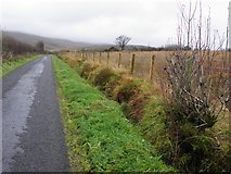 H4875 : Rylagh Road by Kenneth  Allen
