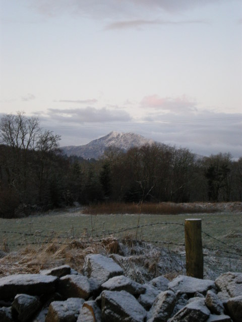 The view from Coed Mawr cottage