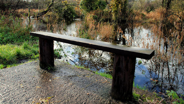 Bench and floods, Lagan towpath, Belfast