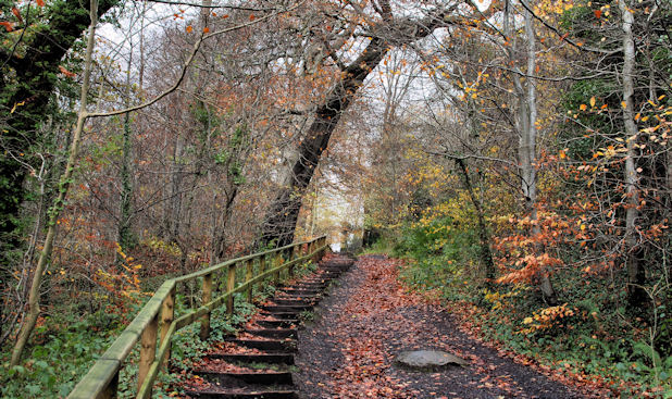 The Lagan Meadows walk, Belfast (28) © Albert Bridge cc-by-sa/2.0 ...