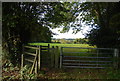 Kissing gate, Sussex Border Path