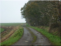 TA0946 : A farm track off Heigholme Lane by Ian S