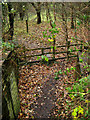 Looking onto the footpath