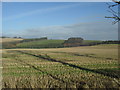 Stubble field near Marlefield Farm in Roxburghshire