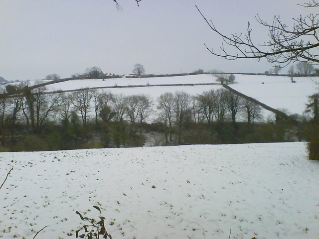 Winter Countryside near Batcombe