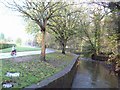 Path by the River Sheaf in Millhouses Park