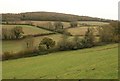 Fields near Jenny