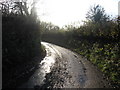 A muddy lane in Hinton Blewett