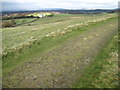 Lyme Park towards Four Winds