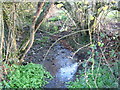 A spring coming out of the hillside below Prospect Stile