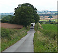 Country road near Sytch House Green