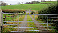 Three gates near Downpatrick