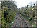 A sinuous course for the Tattenham Corner branch