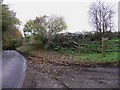 Footpath on drive at Nursted