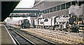 Manchester Victoria/Exchange Stations, with train