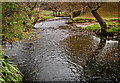 NY3605 : River Rothay by Dave Green