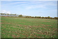 Countryside north west of Iwade