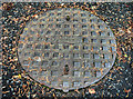 Ulster Foundries manhole cover, Dunmurry (1)