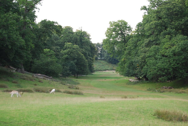 Dry Valley In Knole Park © N Chadwick Geograph Britain And Ireland