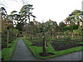 Rose Garden of Kingsnorth Garden