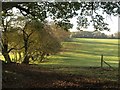 Field and field boundary, Dorney Wood