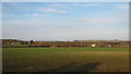 Field near Aldington Road