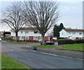 Tree-lined corner of Melfort Road and Byron Road, Newport