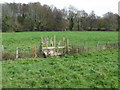 Squeeze gate and footbridge near Holly Hill nursery