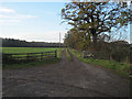 Track to Old Hall from A528