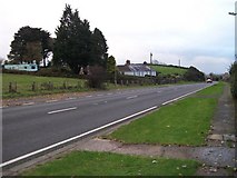 J3534 : Cottage on the A50 Newcastle Road by Eric Jones