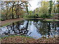 Pond, Epsom Common