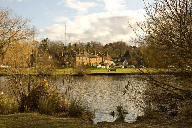 The village pond