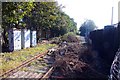 Disused railway looking south