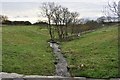 Downstream on the river Caen near West Stowford Barton