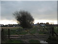 Farm track crosses the Romney, Hythe and Dymchurch Railway