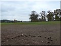 Fields near New Barn Farm