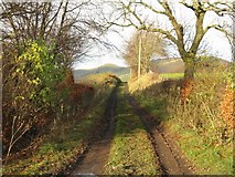 NT2663 : The track to Moat Cottage by M J Richardson