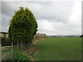 Footpath beside Dymchurch Caravan Park