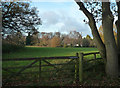 Houses on Private Road from Bridleway