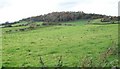 View south-west across the valley of the Moneycarragh River towards Shague Hill