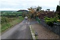 Moneylane Road at the entrance to Shague Farm