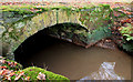 Culvert, near Bangor (1)