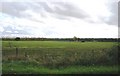 Winter Wheat, Orchard Farm