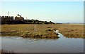 Salt-marsh in the Wyre Estuary Country Park