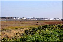 SD3543 : The Wyre Estuary salt-marshes looking towards Hambleton by Steve Daniels