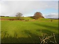 Deerfin Townland