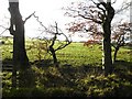 Cross Townland