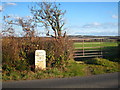 Milestone beside the A3083 near Mainlay