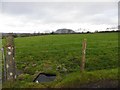 Rooghan Townland