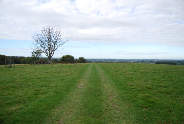 Sussex Border path , Eridge Park